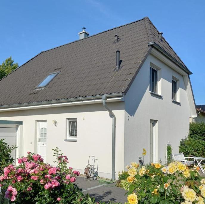 Haus-Am-See-Pratzschwitz Pirna Ngoại thất bức ảnh